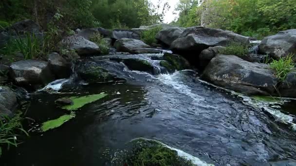 Камни Горной Реке Лесной Ручей Камнями Речная Вода Скалы Горный — стоковое видео