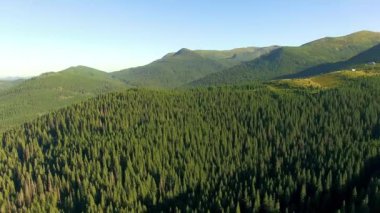 Ormanlık dağların havadan görünüşü, dağların güzel ormanlarına uçmak, ladin ormanlarının havadan görünüşü, dağların ve dağların üzerinden vahşi ormanlarla uçmak.