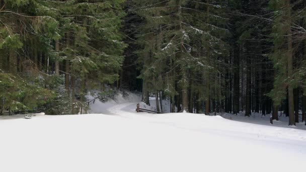 Weg Bergen Winter Voetpad Bergen Winter Weg Een Besneeuwde Forest — Stockvideo