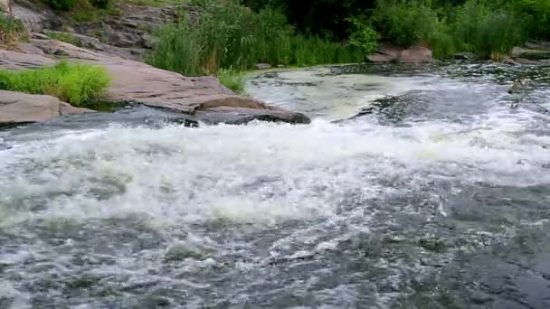 溪水和绿色苔藓岩 岩石上的苔藓森林流 森林河 水在急流中快速流淌 — 图库视频影像