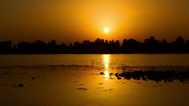 Ochtendnevel Bij Zonsopgang Oranje Stralen Van Zon Door Ochtendnevel Rivier — Stockvideo