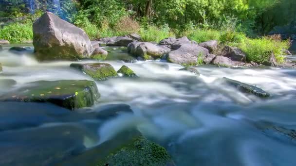 Lesní Proudu Časová Prodleva Proud Vody Zelené Mechové Skály Horské — Stock video