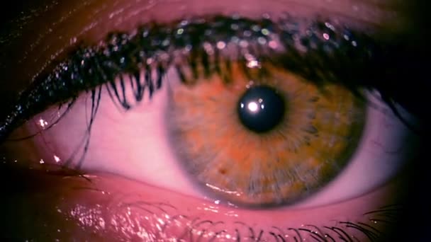 Knipperen Van Een Oog Macro Close Oog Knippert Mascara Ogen — Stockvideo