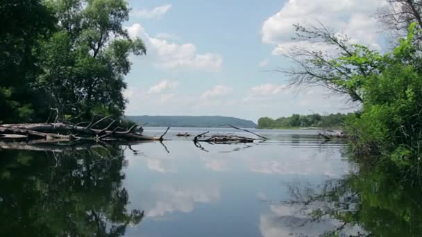 Árboles Caídos Niebla Mañana Río Amanecer Lago Amanecer Sobre Río — Vídeo de stock