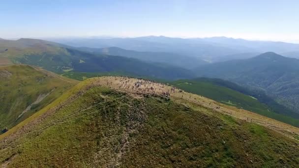 Люди Вершину Говерла Люди Вершині Гори Вид Гори Говерли Гірську — стокове відео