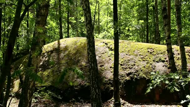 Stenen Dorp Oekraïne Grote Stenen Het Bos Tractus Stenen Dorp — Stockvideo