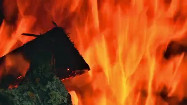 Brennholz Kamin Feuerflamme Aus Nächster Nähe Feuer Fängt Kamin Brennen — Stockvideo