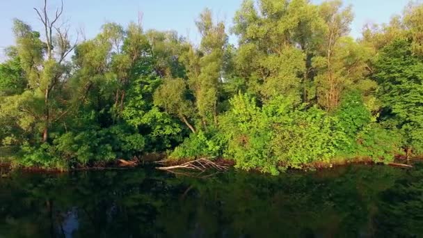 Sobrevoo Acima Margem Rio Voando Acima Impressionante Rio Verde Profundo — Vídeo de Stock