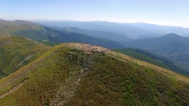 Goverla, 4 k dağın zirvesinde insanlar Zirvesi'nde Goverla dağ, dağ tepe Goverla uçuş insanlar yaz, Goverla Dağı'nda, mavi gökyüzü gün güneşli yaz zirve peak Karpat Dağları'nda hava görünümünü insanlar
