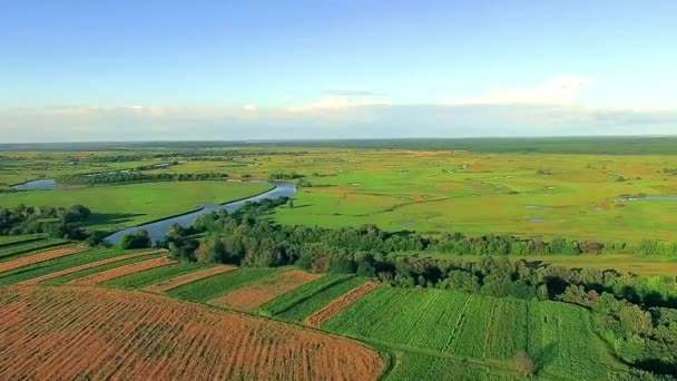 平地で美しい川の上を飛んで川 緑の野原と川の美しい風景の空撮 — ストック動画