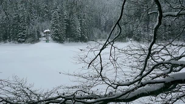 冬スローモーション 山中湖の雪 冬の山湖の岸にオベリスクのカルパティア山脈の山湖 — ストック動画