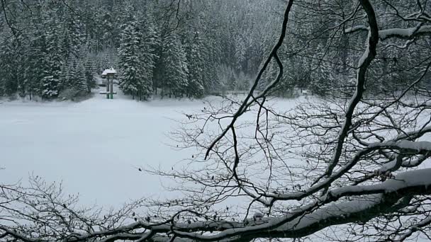 Bergmeer Karpaten Winter Slowmotion Sneeuwval Bergen Lake Obelisk Oever Van — Stockvideo