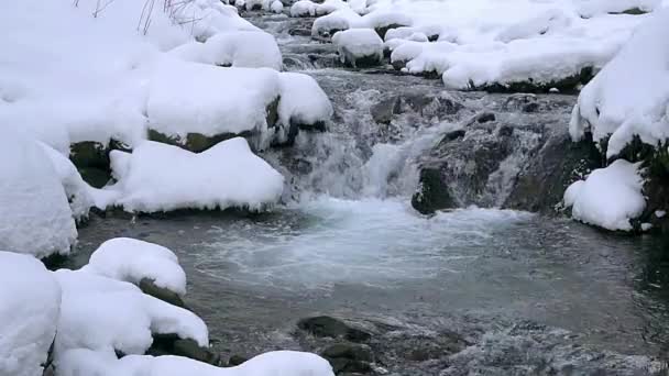 Corredeiras Rio Montanha Inverno Câmera Lenta Água Congelada Uma Rocha — Vídeo de Stock