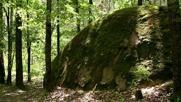 Aldeia Pedra Ucrânia Pedras Grandes Floresta Aldeia Pedra Área Aldeia — Vídeo de Stock
