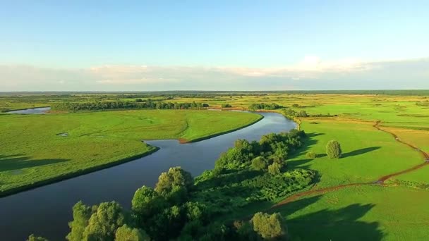 Letecký Pohled Řeku Zelené Louky Mraky Nad Zelené Louky Ohromující — Stock video