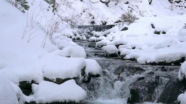 冬スローモーション 急速な山川 沸騰水 山川の急流 山川の中の岩の上の凍結水の山の川の急流をクローズ アップ — ストック動画