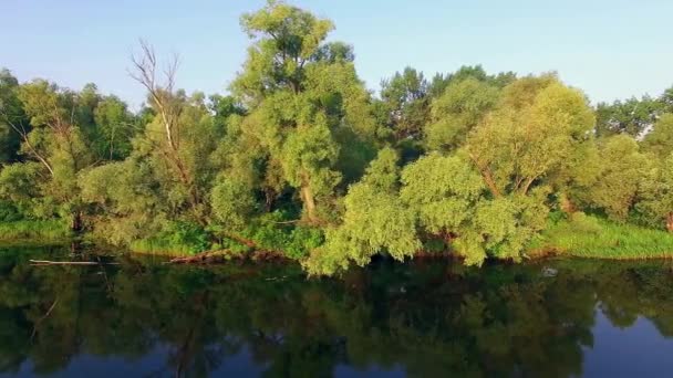 Vuelo Largo Orilla Del Río Moviéndose Cerca Los Árboles Orilla — Vídeos de Stock