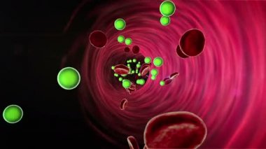 lökosit bir kan, kan damarı, insülin ve lökosit kan damarı, yüksek kaliteli 3d render kan hücrelerinin içinde içinde uyuşturucu arter darbe