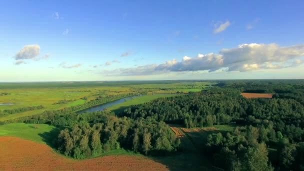 Luftlandschaft Des Flusses Zwischen Wald Und Feld Landschaft Mit Fluss — Stockvideo