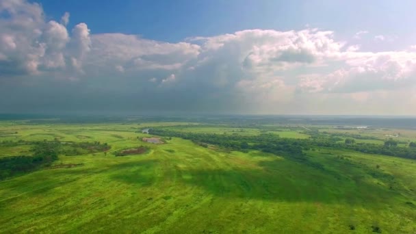 草甸的鸟图 绿色草地上的云 令人惊叹的空中射击在郁郁葱葱的绿色领域和草甸在农村 阴影从云彩在绿色领域 绿色领域美丽的风景 — 图库视频影像