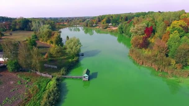 Vuelo Sobre Lago Otoño Parque Paisaje Aéreo Naturaleza Otoño Vuelo — Vídeos de Stock