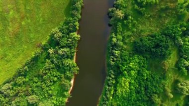 Nehir havadan görünümü yaz gün, hava görünümünü Nehri'nin 4k, nehir yeşil ağaçların üzerinden uçan