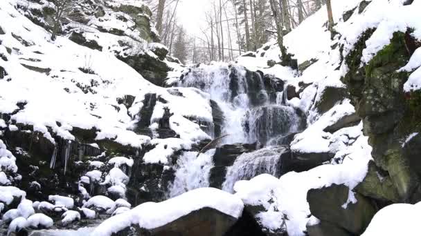 Cachoeira Inverno Vídeo Cachoeira Shipot Shipot Cachoeira Nos Cárpatos Inverno — Vídeo de Stock