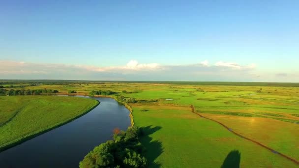 Vliegen Rivier Groene Velden Antenne Landelijk Landschap Vlucht Een Landelijk — Stockvideo