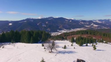 Kış dağlar, kış manzarası, görkemli kar dağlar, havadan görünümü iğne yapraklı orman kış dağlarda kış Karpat Dağları'nın havadan görünümü