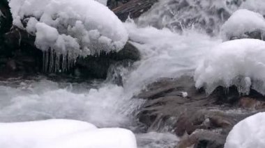 dağ nehir rapids kışın donmuş su hızlı dağ nehir, kaynar su, dağ nehir rapids, dağ nehir ortasında bir kayanın üzerinde Kapat