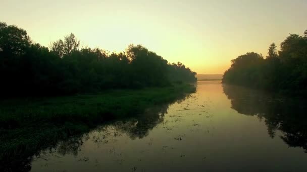 日の出 朝霧川 川空中上に太陽と日の出で神秘的な川の空撮で飛び川の航空写真 — ストック動画