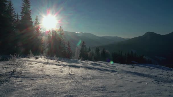 Słońce Śnieg Górach Zimowe Mroźne Zimy Słoneczny Dzień Pokryte Śniegiem — Wideo stockowe