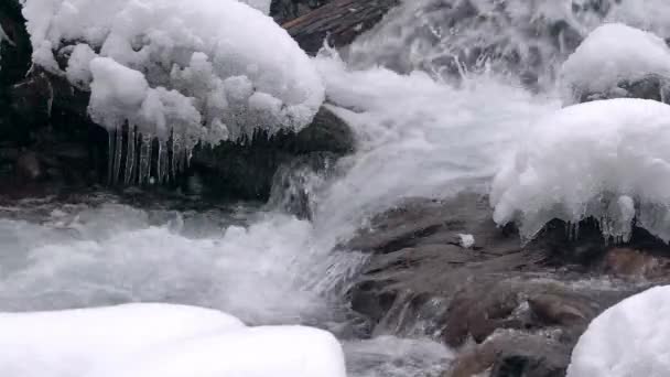 Corredeiras Rio Montanha Inverno Água Congelada Uma Rocha Meio Rio — Vídeo de Stock