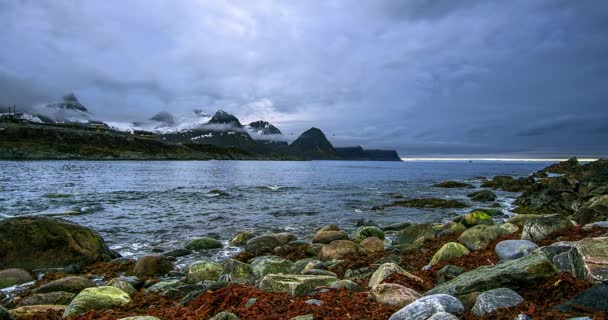 Sky Sea Shore Lofoten Islands Time Lapse Stones Seaweed Shore — Stock Video