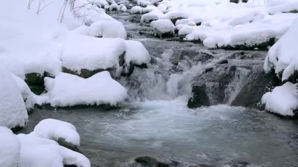 Corredeiras Rio Montanha Inverno Água Congelada Uma Rocha Meio Rio — Vídeo de Stock