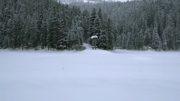 Mountain Lake Carpathians Winter Snowfall Mountains Lake Obelisk Shore Mountain — Stock Video