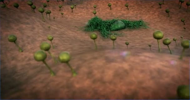 Colonie de champignons, champignon sur la surface du cuir, paysage de micromonde, croissance du champignon ,