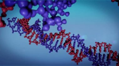 DNA yakın çekim, Dna molekül modeli, Dna dizilerini, Dna animasyon