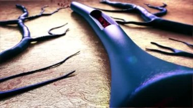 Kan damarları, kan pıhtısı damarları, kan damarı, kan hücrelerinin yüksek kaliteli 3d render, bir kan kolesterol içinde kandaki yağ hücre daralma  