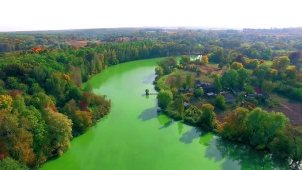湖と色鮮やかな森を美しい公園には池や湖 秋自然風景の空中飛行村の秋の湖 秋自然風景の空中飛行便します — ストック動画