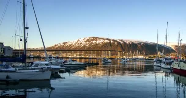 Jacht Kikötőben Lofoten Szigetek Jachtok Dokk Tromso Időközű Nézd Marina — Stock videók