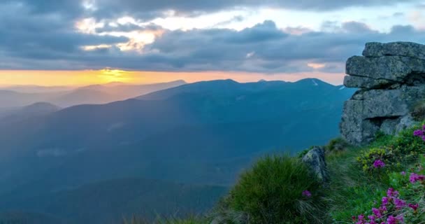 Ηλιοβασίλεμα Στα Βουνά Πάροδο Του Χρόνου Ανθισμένα Ροδόδενδρα Φόντο Ηλιοβασίλεμα — Αρχείο Βίντεο