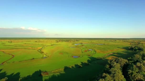 Luchtfoto Van Weiden Wolken Boven Groene Weiden Stunning Luchtfoto Schot — Stockvideo