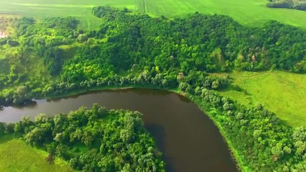 Letecký Pohled Řeku Krásná Krajina Zelených Polí Řeky Letící Nad — Stock video