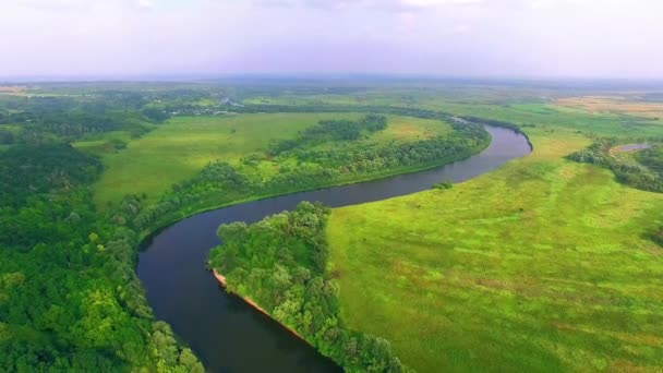 Aerial View River Beautiful Landscape Green Fields River Flying Beautiful — Stock Video