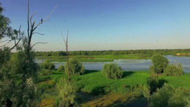 nehir 4k, çok yüksek görünümü nehir ve bataklık, kuşlar, Nehri'nin havadan görünümü ve Adaları 4k ile mistik Nehri'nin havadan görünümü, orman ve nehir havadan görünümü