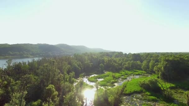 沼泽和河流的非常高的看法 神秘的河流与鸟类的鸟图 河和海岛4K 的鸟图 森林和河 — 图库视频影像