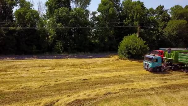 Luftaufnahme Von Landwirtschaftlichen Maschinen Auf Dem Weizenfeld Landwirtschaftliche Szene Mit — Stockvideo