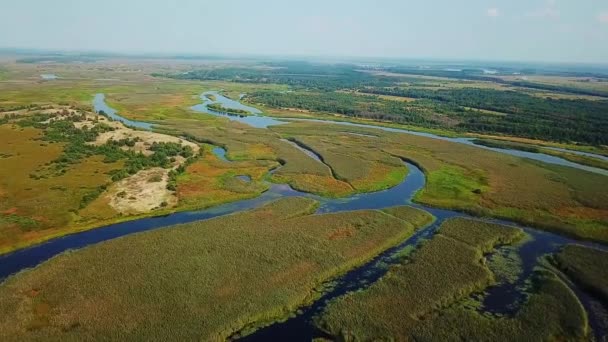 Воздушный Вид Поймы Реки Припять Воздушный Вид Извилистую Реку Воздушный — стоковое видео