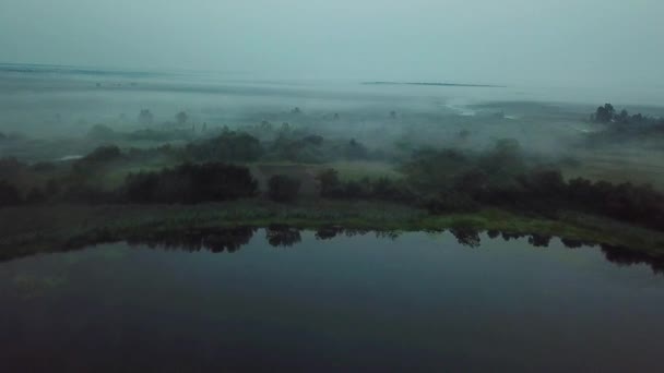 湖の上の夜明け前の霧の航空写真 湖の空襲の夜明け前の霧 朝霧の森の湖 湖の朝霧の航空写真 — ストック動画